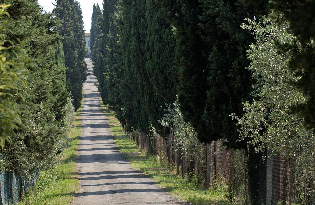 Апартаменти Agriturismo Poggio Arioso Скандіччі Екстер'єр фото