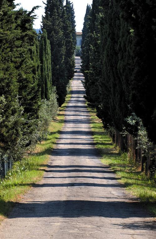 Апартаменти Agriturismo Poggio Arioso Скандіччі Екстер'єр фото